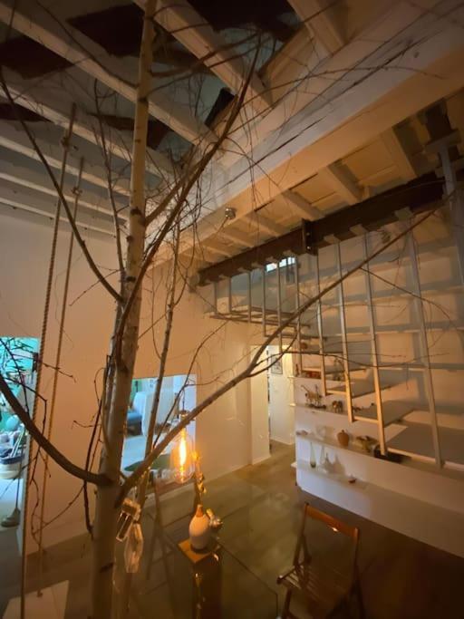 Casa Degli Alberi Apartment ตูริน ภายนอก รูปภาพ