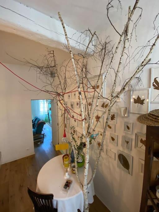 Casa Degli Alberi Apartment ตูริน ภายนอก รูปภาพ