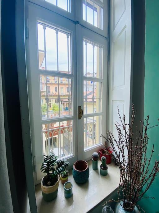 Casa Degli Alberi Apartment ตูริน ภายนอก รูปภาพ