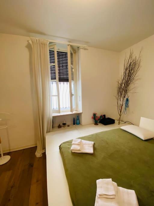 Casa Degli Alberi Apartment ตูริน ภายนอก รูปภาพ
