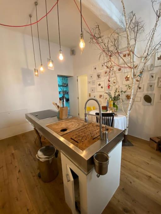 Casa Degli Alberi Apartment ตูริน ภายนอก รูปภาพ