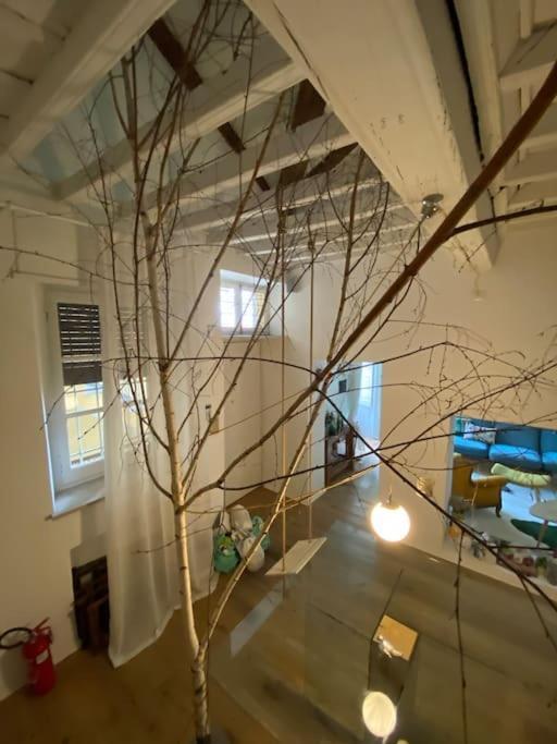 Casa Degli Alberi Apartment ตูริน ภายนอก รูปภาพ
