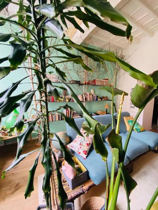 Casa Degli Alberi Apartment ตูริน ภายนอก รูปภาพ