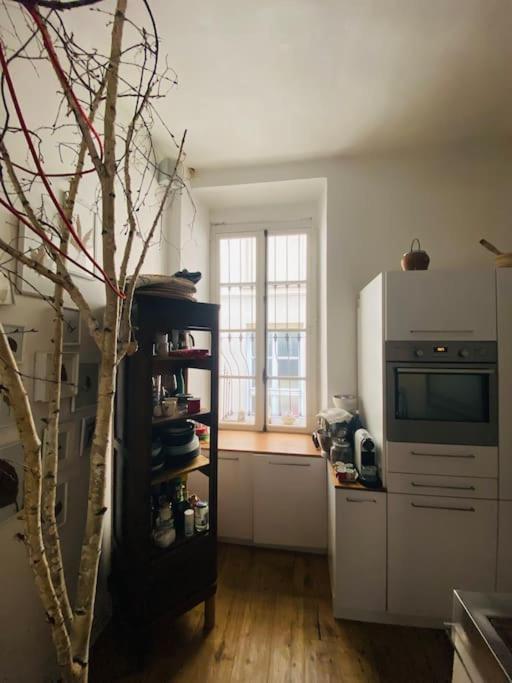 Casa Degli Alberi Apartment ตูริน ภายนอก รูปภาพ