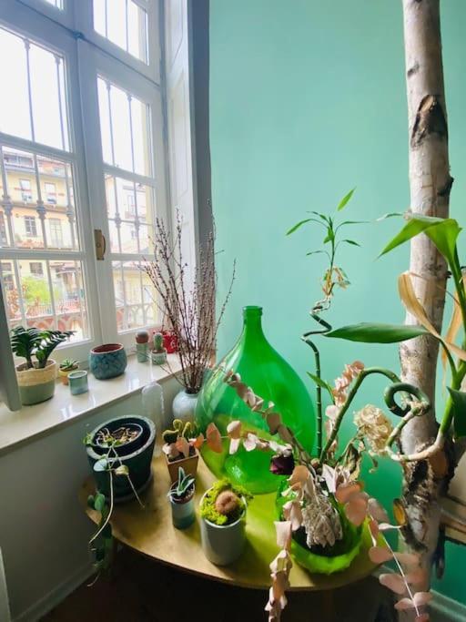 Casa Degli Alberi Apartment ตูริน ภายนอก รูปภาพ